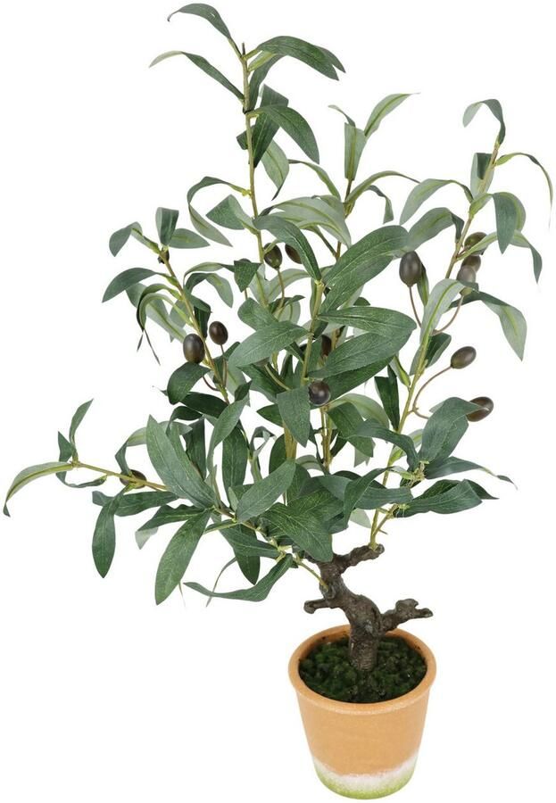 I.GE.A. Kunstplant Kunstmatige olijfboom met zwarte vruchten Olijf mediterrane olijfboom groenplant kunstboom decoratieboom (1 stuk) - Foto 2