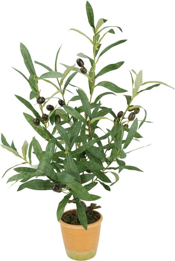 I.GE.A. Kunstplant Kunstmatige olijfboom met zwarte vruchten Olijf mediterrane olijfboom groenplant kunstboom decoratieboom (1 stuk) - Foto 4
