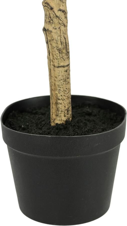 I.GE.A. Kunstplant Kunstmatige olijfboom met zwarte vruchten Op stam bolboom olijfboom groene plant kunstboom decoratieboom (1 stuk) - Foto 2