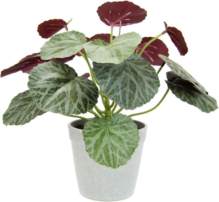 I.GE.A. Kunstplant Kunstmatige plant begonia in pot begonia struik bladplant Balkonplant struik bladeren kunstplant decoratie kunstbloemen potplant (1 stuk) - Foto 2