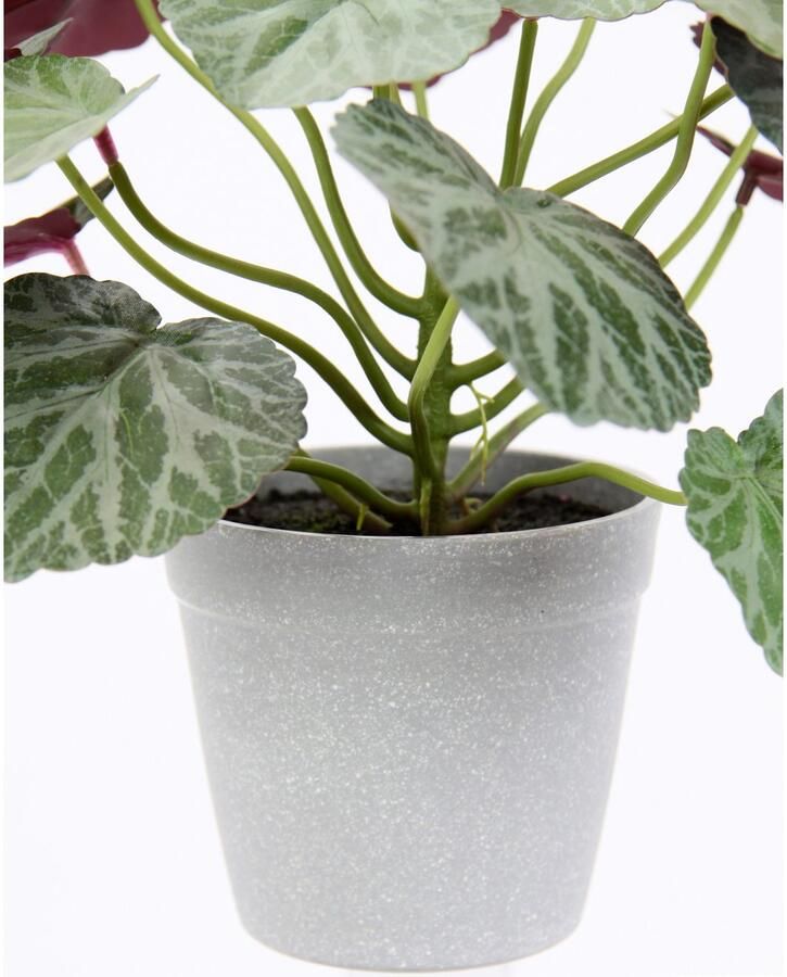 I.GE.A. Kunstplant Kunstmatige plant begonia in pot begonia struik bladplant Balkonplant struik bladeren kunstplant decoratie kunstbloemen potplant (1 stuk) - Foto 3