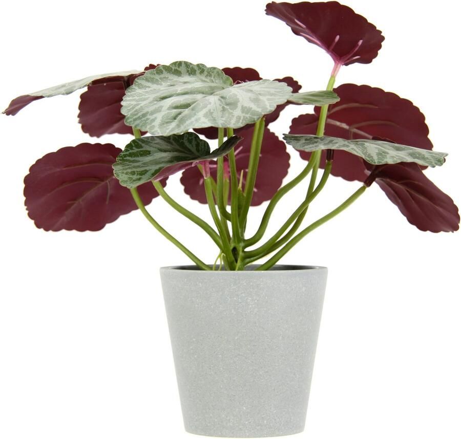 I.GE.A. Kunstplant Kunstmatige plant begonia in pot begonia struik bladplant Balkonplant struik bladeren kunstplant decoratie kunstbloemen potplant (2 stuks) - Foto 2
