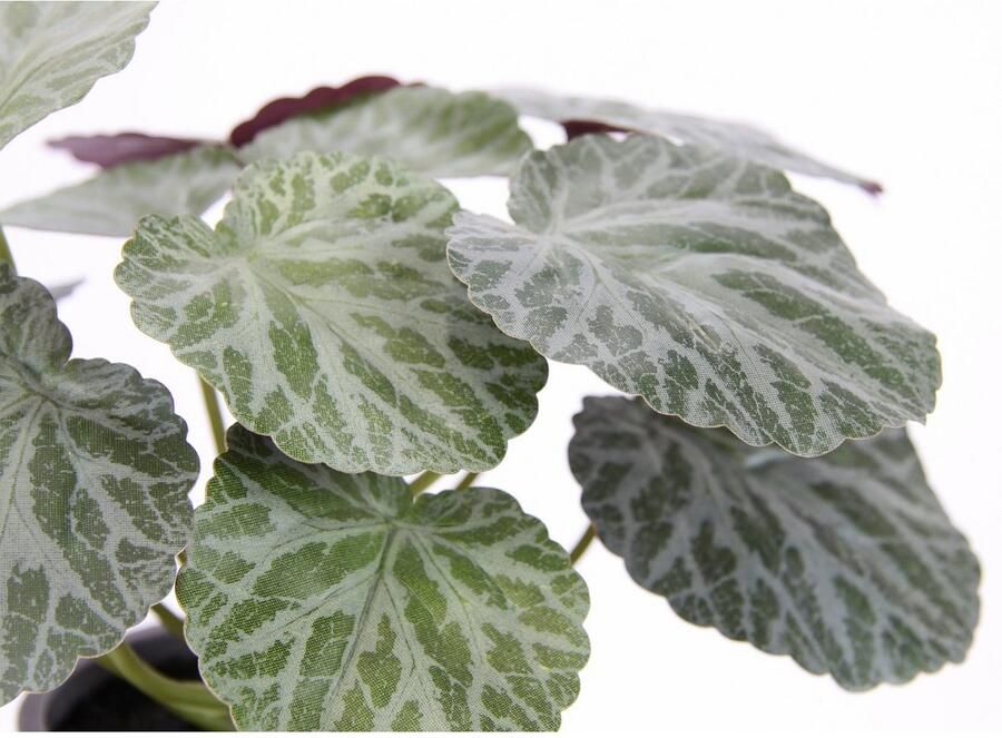 I.GE.A. Kunstplant Kunstmatige plant begonia in pot begonia struik bladplant Balkonplant struik bladeren kunstplant decoratie kunstbloemen potplant (2 stuks) - Foto 2