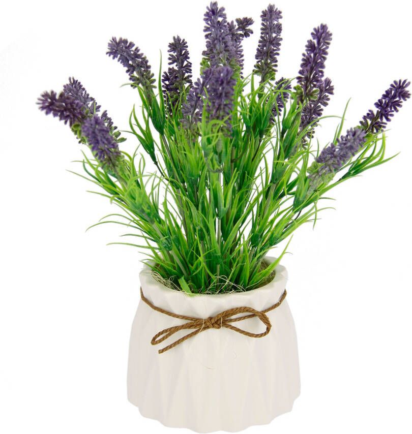 I.GE.A. Kunstplant Lavendel In een keramische pot - Foto 1