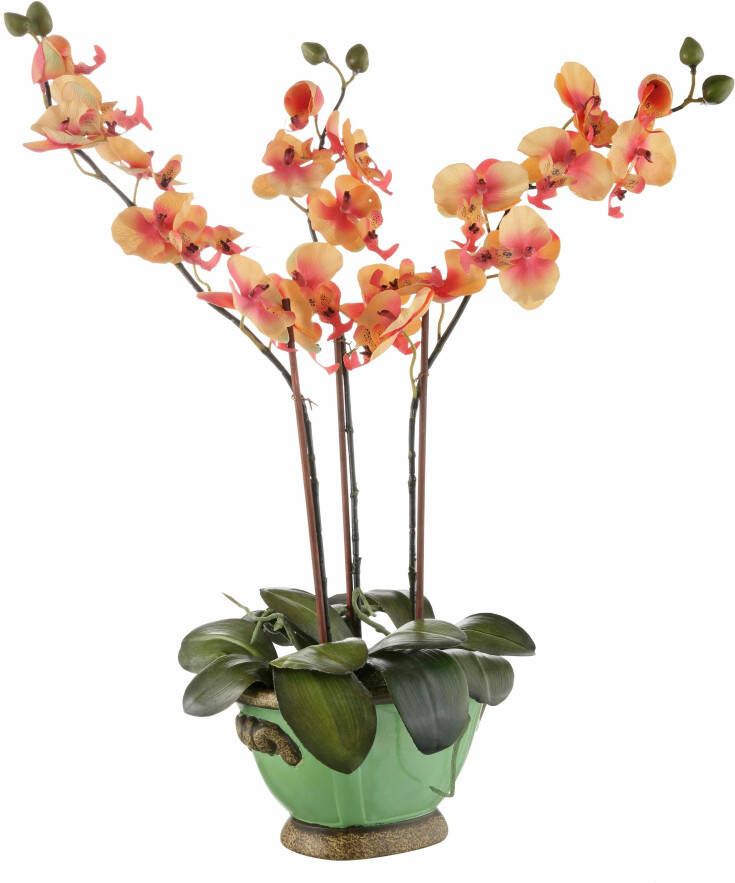 I.GE.A. Kunstplant Orchidee (1 stuk) - Foto 5