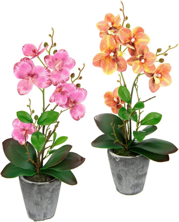 I.GE.A. Kunstplant Orchidee Met bladeren en luchtwortels in een pot van keramiek(2 stuks) - Foto 1
