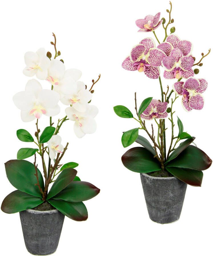 I.GE.A. Kunstplant Orchidee Met bladeren en luchtwortels in een pot van keramiek(2 stuks)