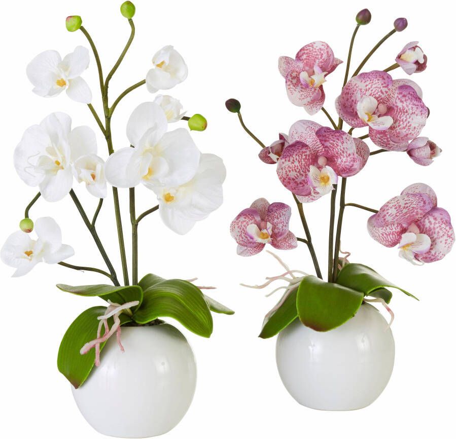 I.GE.A. Kunstplant Orchidee (set 2 stuks) - Foto 4