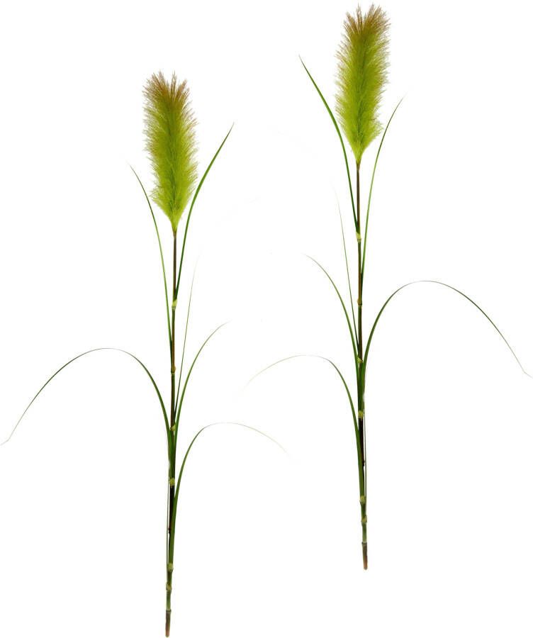 I.GE.A. Kunstplant PAMPAS (2 stuks)