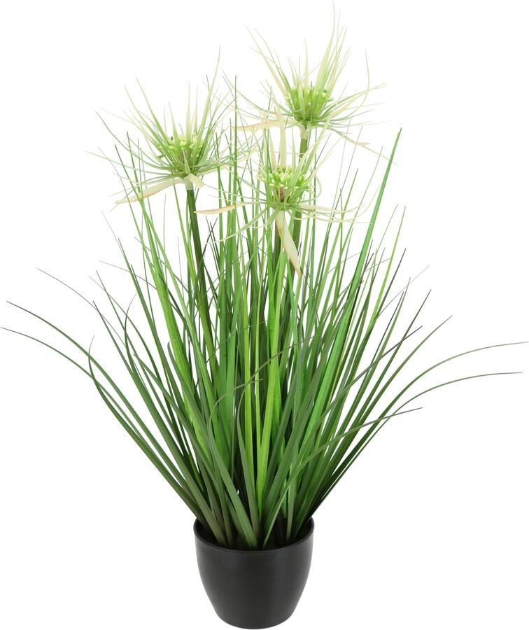 I.GE.A. Kunstplant Protea in grasstruik (1 stuk) - Foto 3