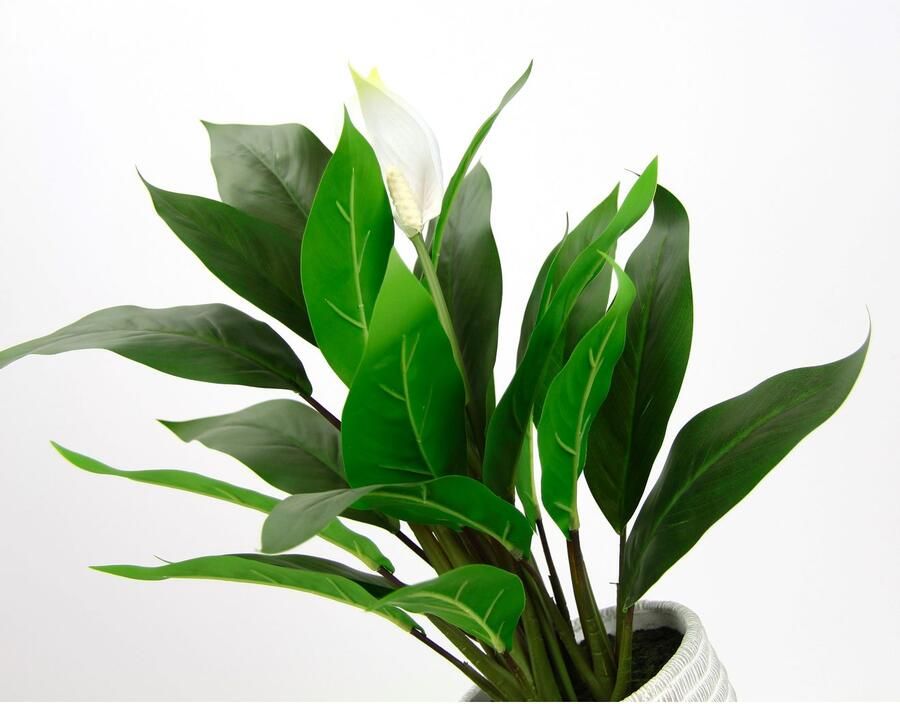 I.GE.A. Kunstplant Spathiphyllum in pot anthurium calla flamingobloem exotische plant met witte bloemen (1 stuk) - Foto 3