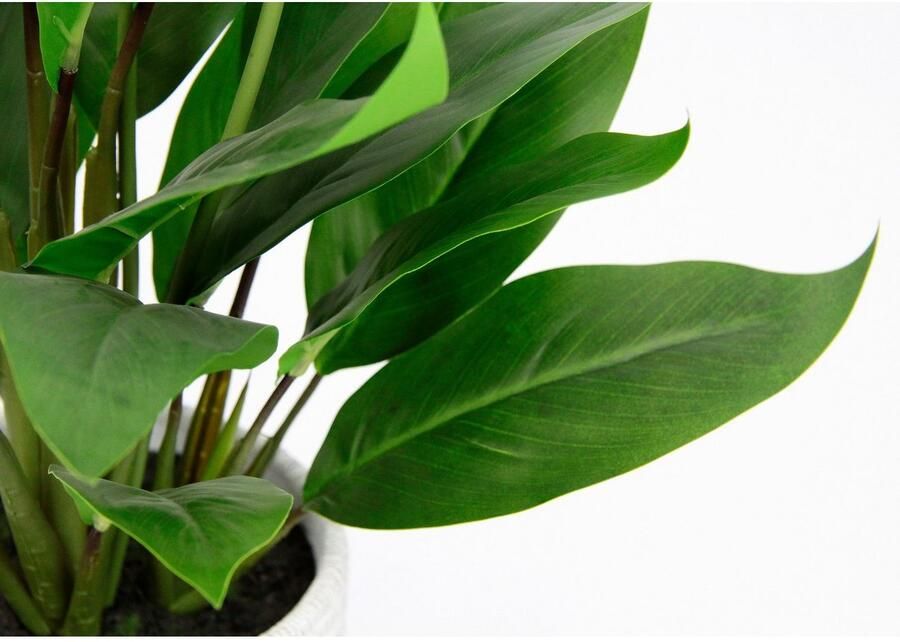 I.GE.A. Kunstplant Spathiphyllum in pot anthurium calla flamingobloem exotische plant met witte bloemen (1 stuk) - Foto 4