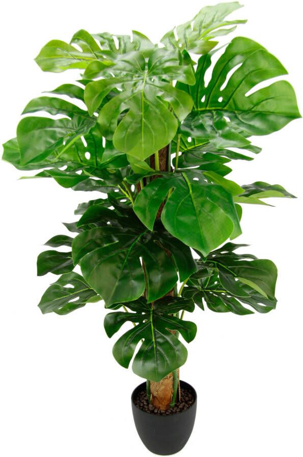 I.GE.A. Kunstplant Splitphiloplant in een plastic pot (1 stuk) - Foto 1