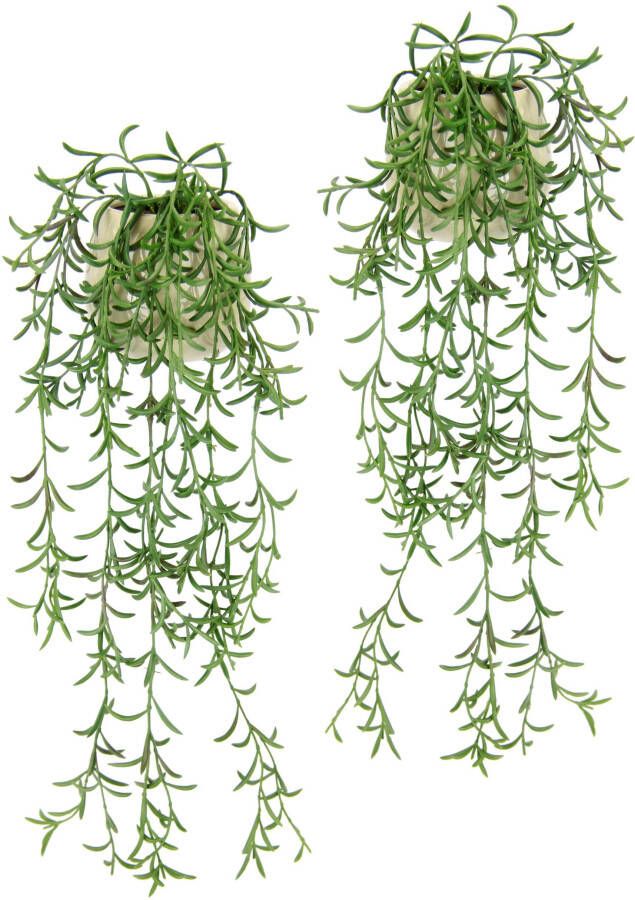 I.GE.A. Kunstplant Sprengerie im Topf 2er Set künstlich Pflanze Hängepflanze Kunstblume (2 stuks) - Foto 1