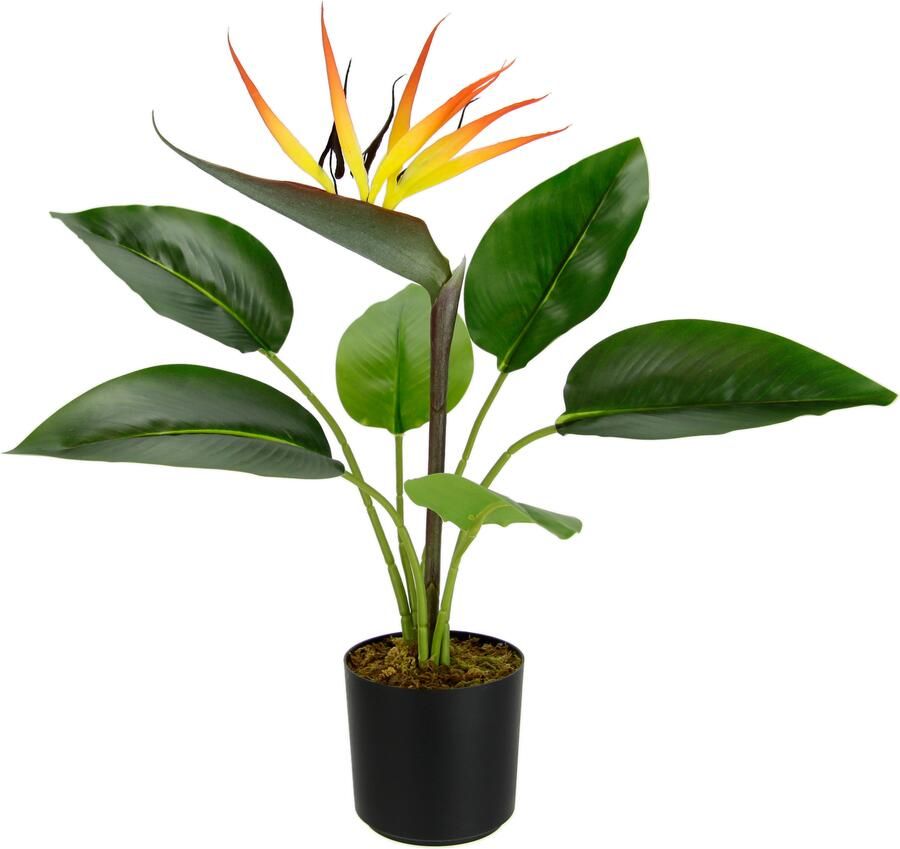 I.GE.A. Kunstplant Strelitzieplant in pot Kunstbloemen kamerplant (1 stuk)