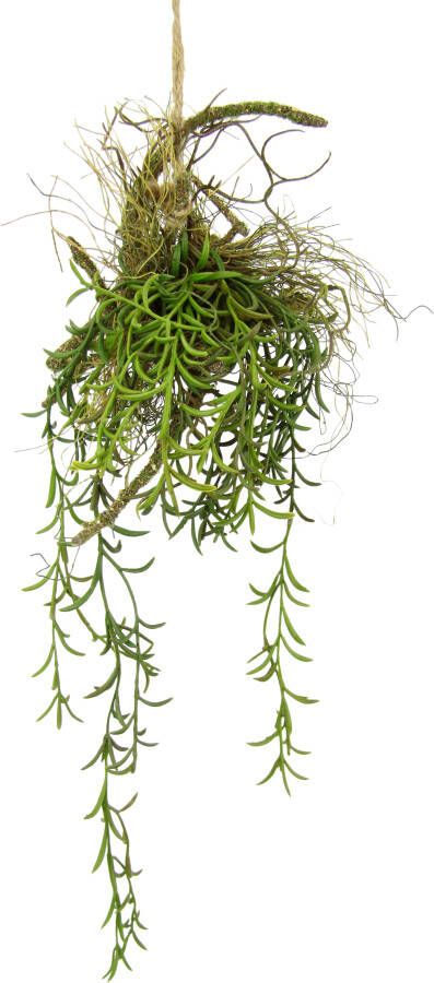 I.GE.A. Kunstplant Tillandsia (1 stuk) - Foto 1