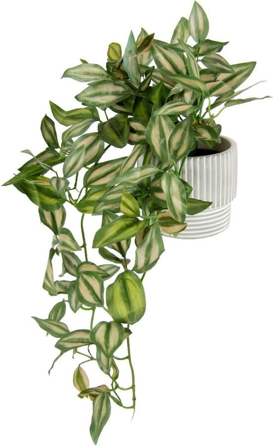 I.GE.A. Kunstplant Tradescantia hanger Met overpot kunstplant hangplant plantenampel klimplant (2 stuks) - Foto 4