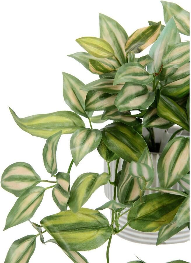 I.GE.A. Kunstplant Tradescantia hanger Met overpot kunstplant hangplant plantenampel klimplant (2 stuks) - Foto 3