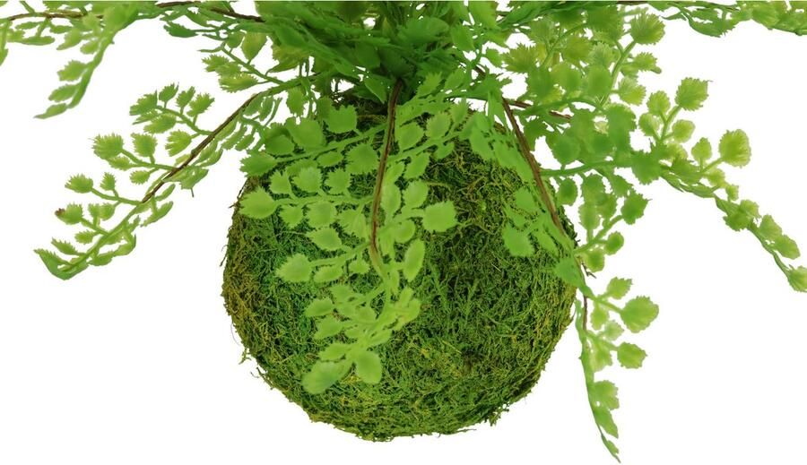 I.GE.A. Kunstplant Varenstruik op mosbal Kunstmatige plant bosvaren (1 stuk) - Foto 2
