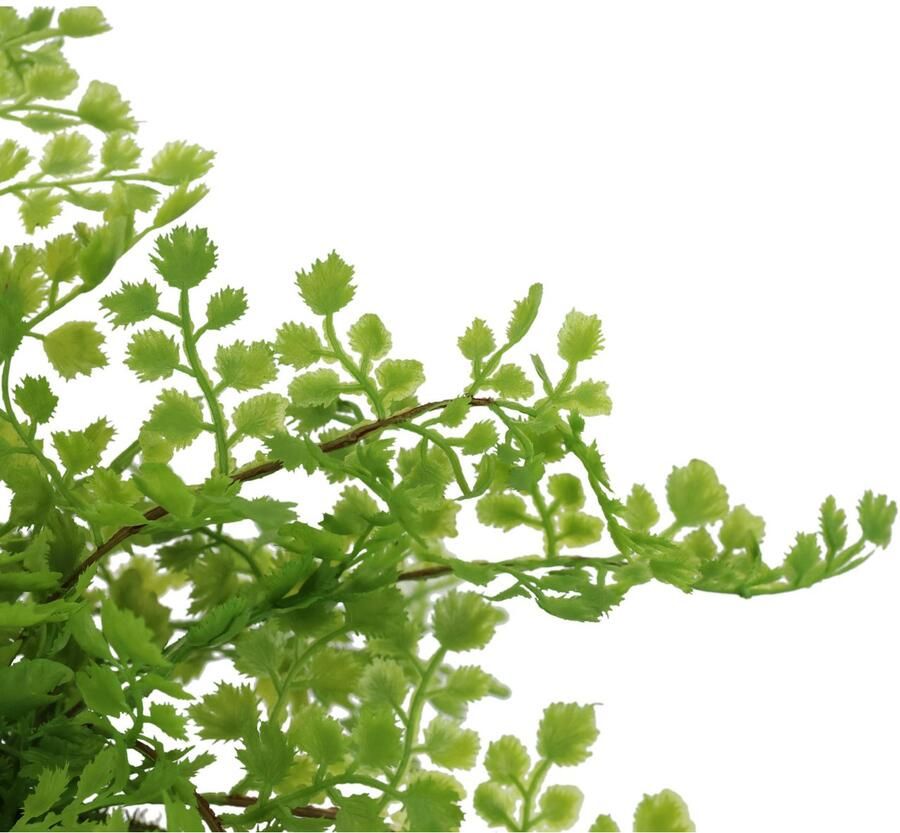 I.GE.A. Kunstplant Varenstruik op mosbal Kunstmatige plant bosvaren (1 stuk)