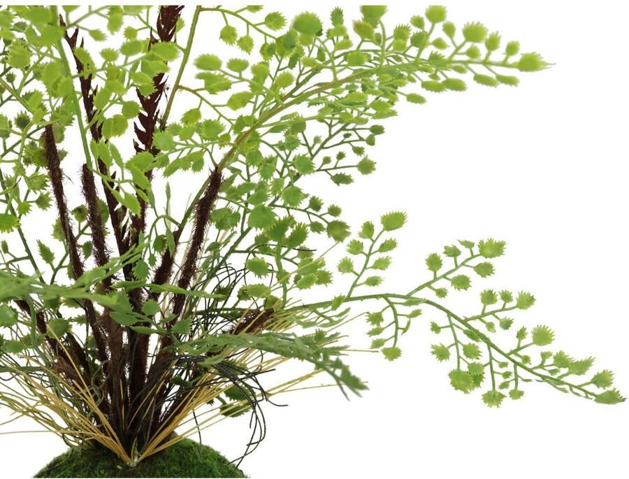 I.GE.A. Kunstplant Varenstruik op mosbal Kunstmatige plant bosvaren (1 stuk) - Foto 2