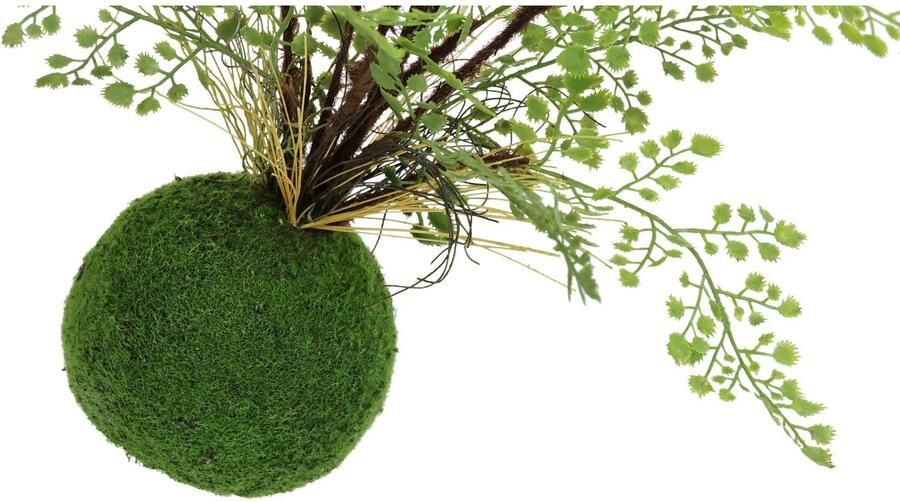 I.GE.A. Kunstplant Varenstruik op mosbal Kunstmatige plant bosvaren (1 stuk) - Foto 3