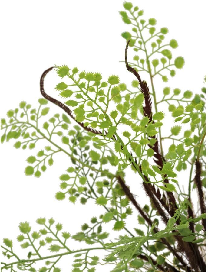 I.GE.A. Kunstplant Varenstruik op mosbal Kunstmatige plant bosvaren (1 stuk)