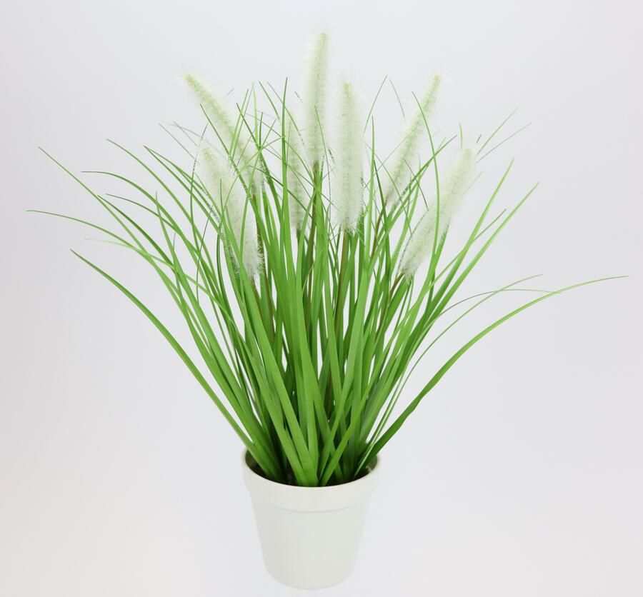 I.GE.A. Kunstplant Vossenstaart in pot (1 stuk)