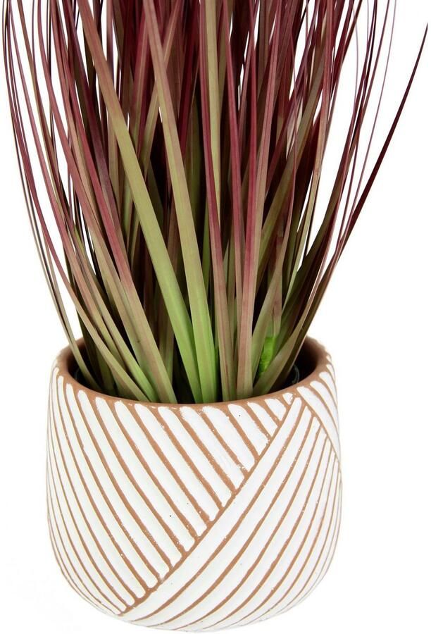 I.GE.A. Kunstplant Vossenstaart Met overpot kunstgras decoratie borstenhirse Panicoideae Setaria (2 stuks) - Foto 2