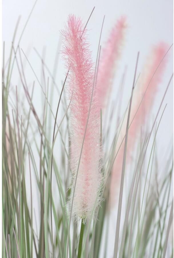 I.GE.A. Kunstplant Vossenstaartgras in zinken pot Gras kunstplant kunstgras siergras groene planten (1 stuk) - Foto 3