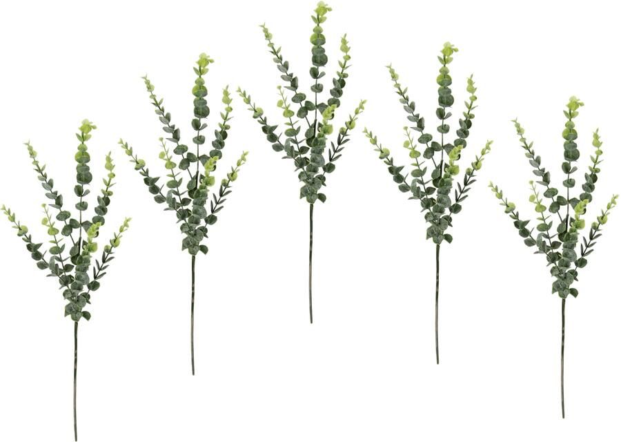I.GE.A. Kunsttak Eucalyptus set van 5 kunsttak met blad (5 stuks) - Foto 1