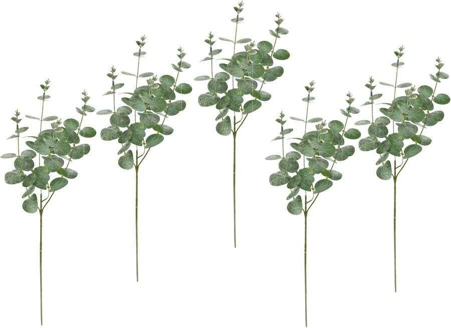 I.GE.A. Kunsttak Kunstmatige eucalyptus tak set van 5 decoratieve tak voor slinger krans kerstdecoratie enkele bloem (5 stuks) - Foto 4