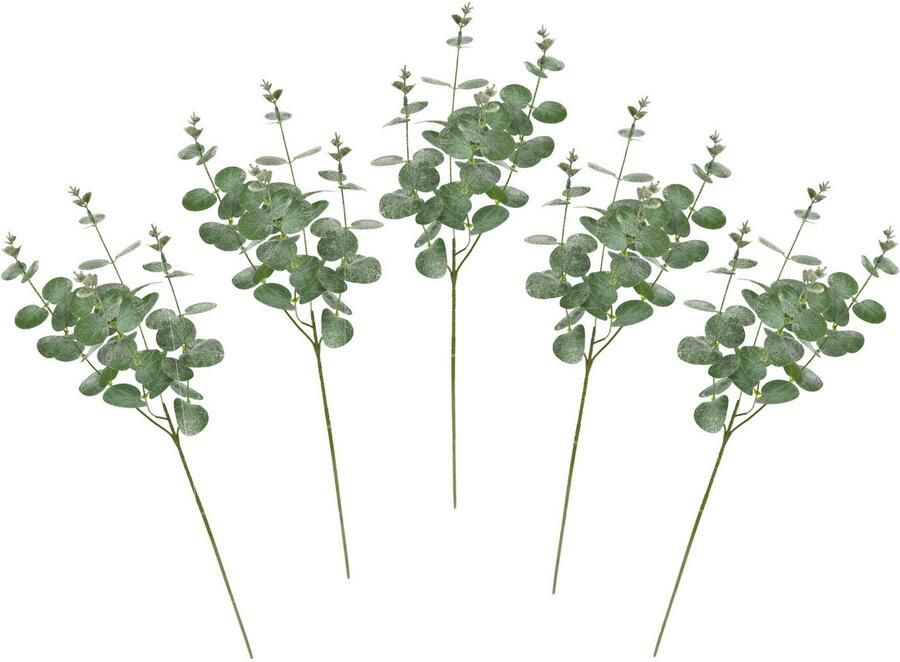 I.GE.A. Kunsttak Kunstmatige eucalyptus tak set van 5 decoratieve tak voor slinger krans kerstdecoratie enkele bloem (5 stuks) - Foto 2