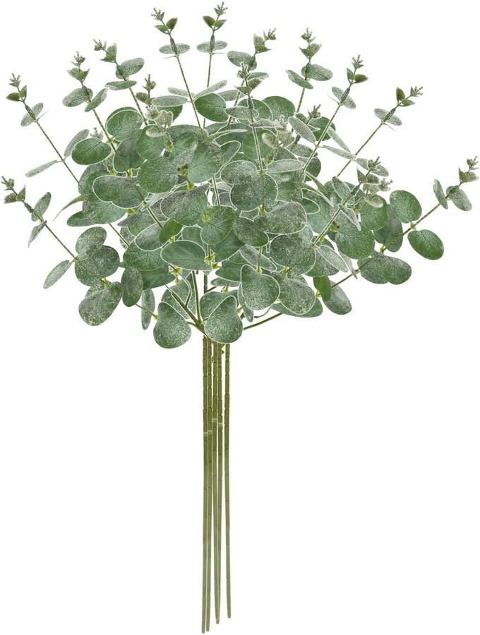 I.GE.A. Kunsttak Kunstmatige eucalyptus tak set van 5 decoratieve tak voor slinger krans kerstdecoratie enkele bloem (5 stuks)