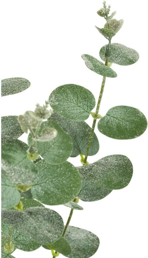 I.GE.A. Kunsttak Kunstmatige eucalyptus tak set van 5 decoratieve tak voor slinger krans kerstdecoratie enkele bloem (5 stuks) - Foto 3