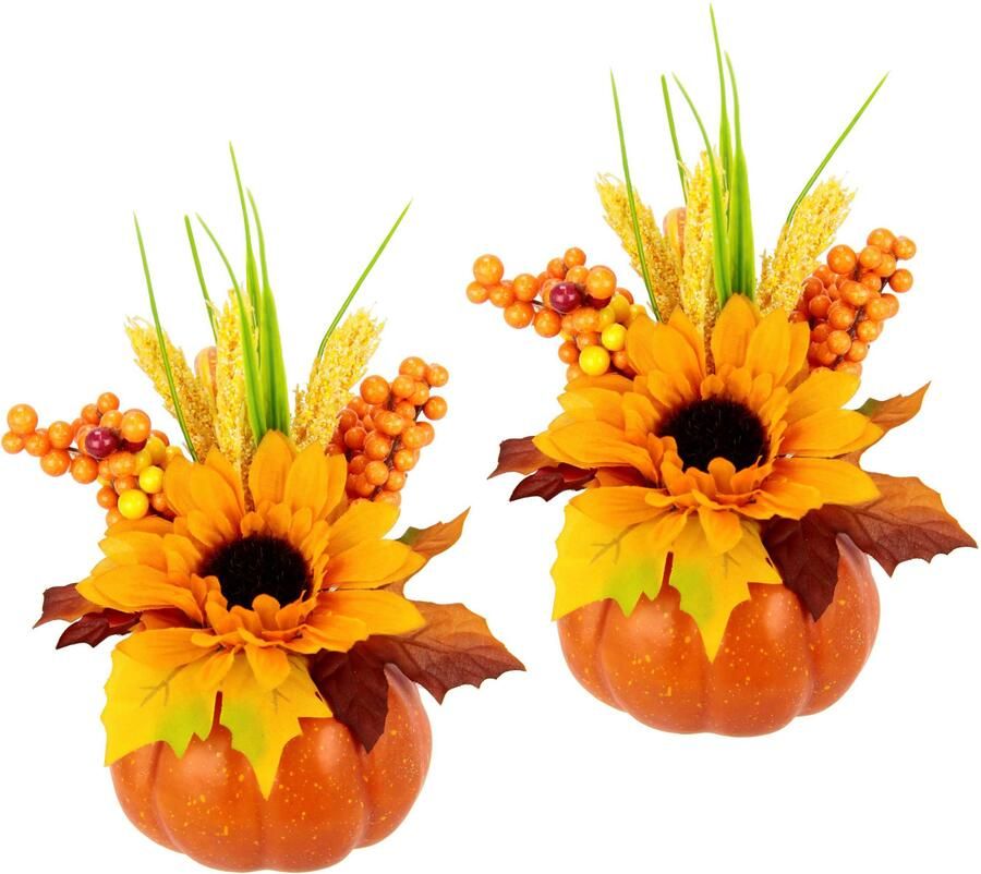 I.GE.A. Takken Zonnebloem Herfstbloemen (2 stuks) - Foto 2