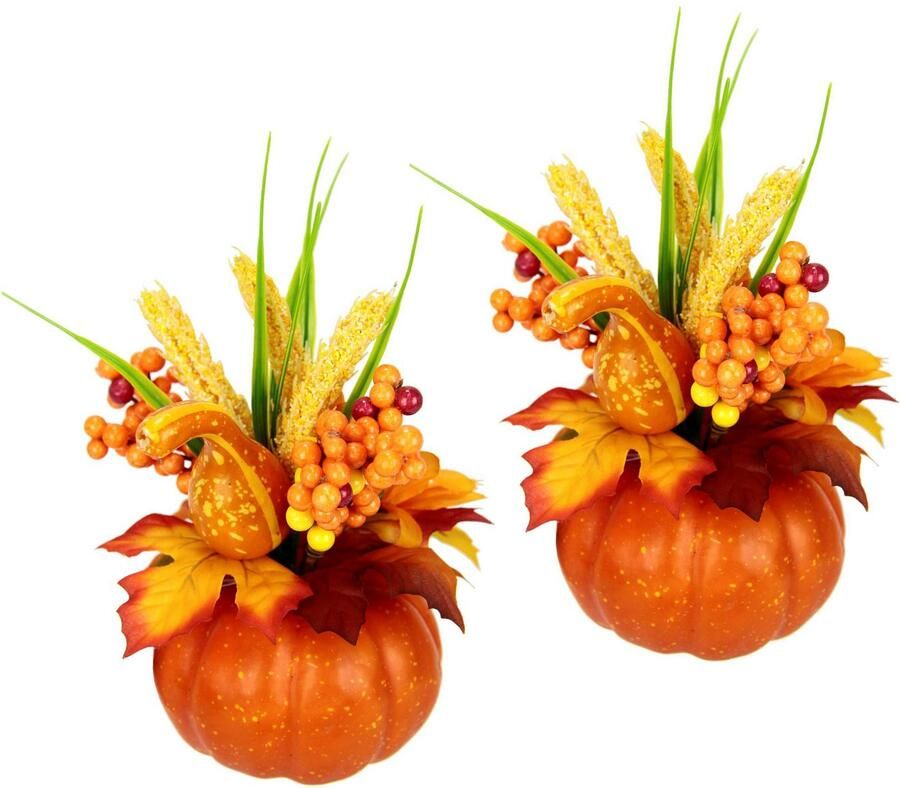 I.GE.A. Takken Zonnebloem Herfstbloemen (2 stuks)