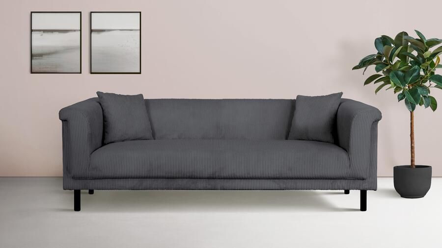 INOSIGN 2-zitsbank AGNIA BxDxH: 180x85x71 cm incl. sierkussens ook in cord en bouclé - Foto 5