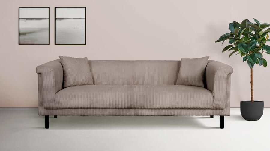 INOSIGN 2-zitsbank AGNIA BxDxH: 180x85x71 cm incl. sierkussens ook in cord en bouclé - Foto 6