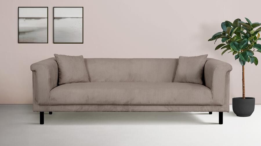 INOSIGN 3-zitsbank AGNIA BxDxH: 210x85x71 cm incl. sierkussens ook in cord en bouclé - Foto 6