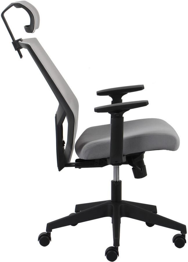 INOSIGN Bureaustoel Netti bureaustoel hoogwaardige ergonomische uitrusting