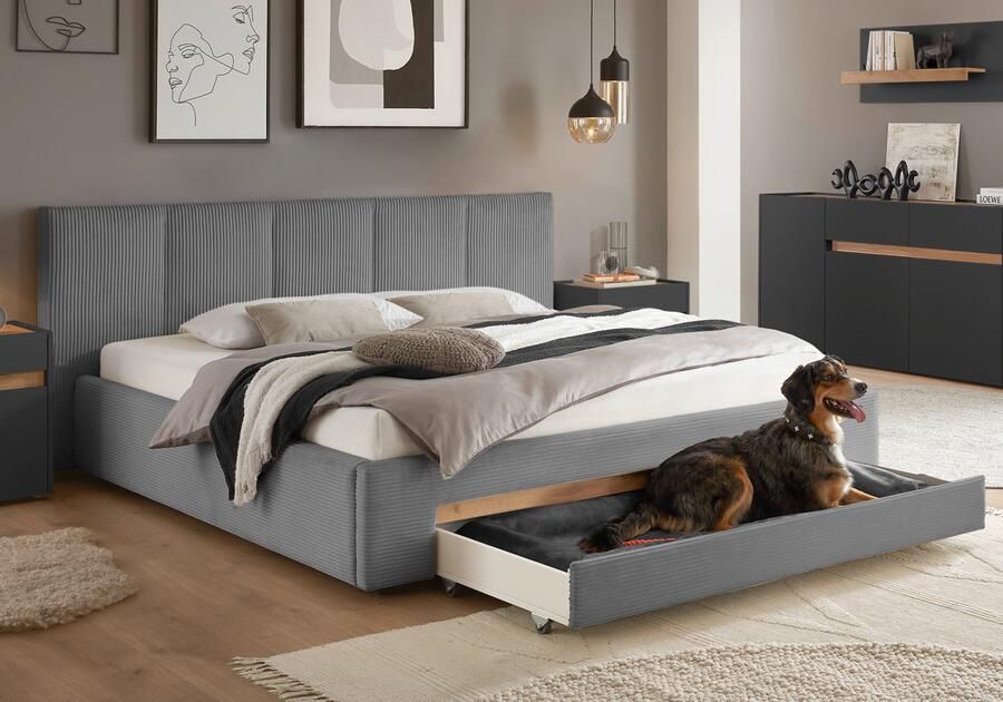 INOSIGN Gestoffeerd bed CiTY GiRON bedframe met bedlade gestoffeerd opbergbed met hondenbed of opberglade bekleding van corduroy of linnenlook - Foto 12