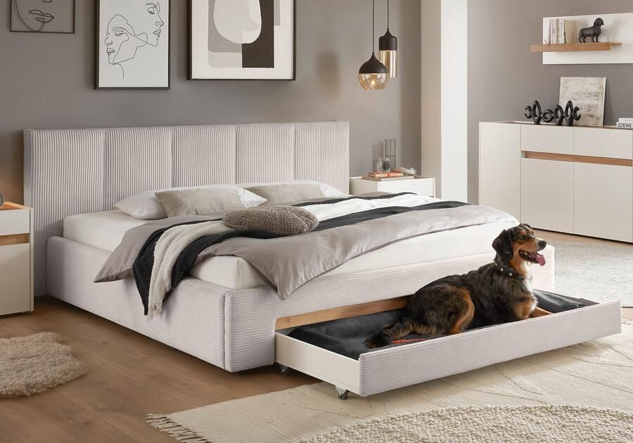 INOSIGN Gestoffeerd bed CiTY GiRON bedframe met bedlade gestoffeerd opbergbed met hondenbed of opberglade bekleding van corduroy of linnenlook - Foto 11