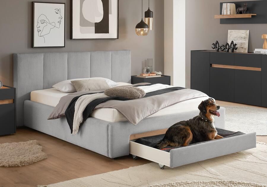INOSIGN Gestoffeerd bed CiTY GiRON bedframe met bedlade gestoffeerd opbergbed met hondenbed of opberglade bekleding van corduroy of linnenlook - Foto 11