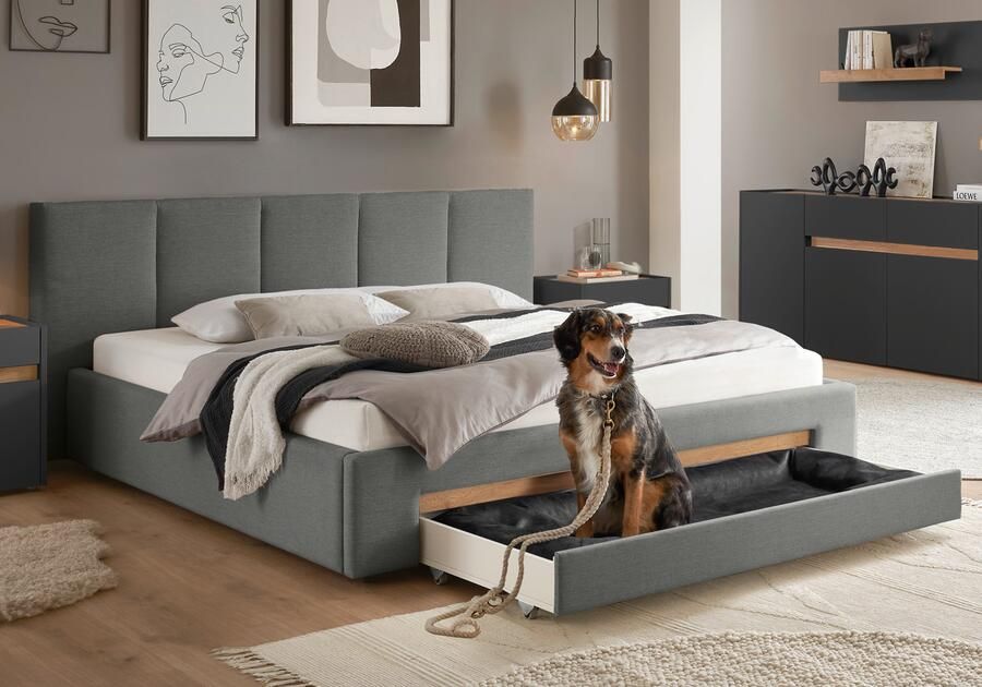 INOSIGN Gestoffeerd bed CiTY GiRON bedframe met bedlade gestoffeerd opbergbed met hondenbed of opberglade bekleding van corduroy of linnenlook - Foto 13