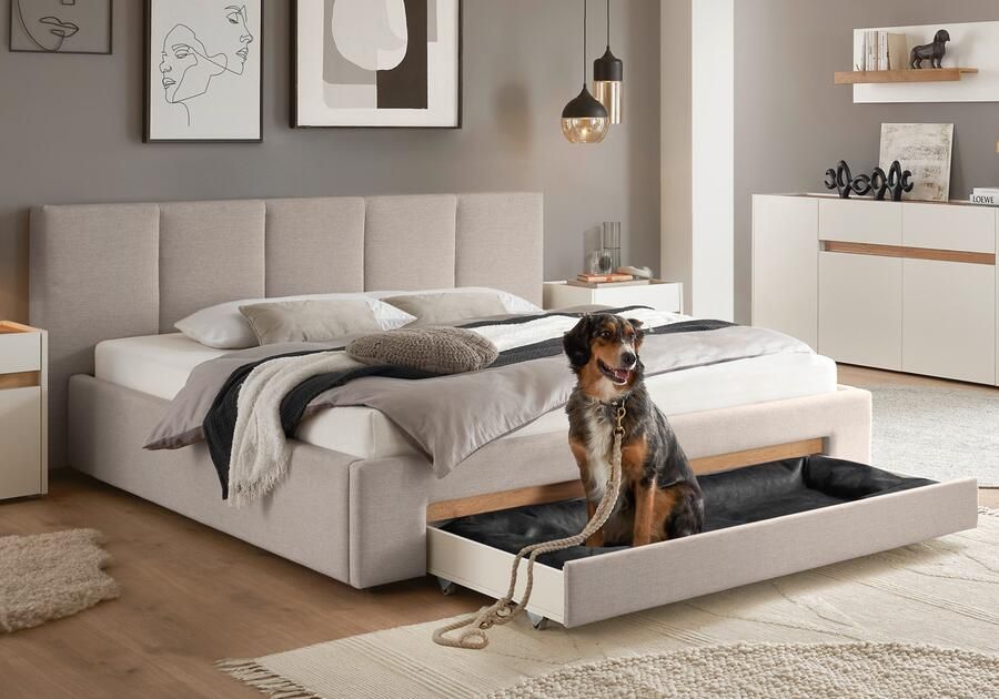 INOSIGN Gestoffeerd bed CiTY GiRON bedframe met bedlade gestoffeerd opbergbed met hondenbed of opberglade bekleding van corduroy of linnenlook - Foto 14