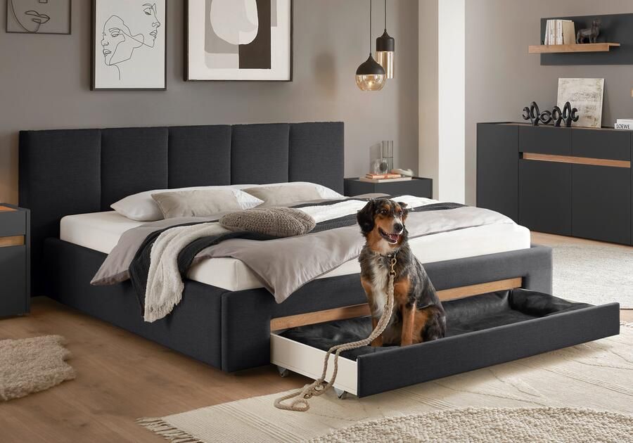 INOSIGN Gestoffeerd bed CiTY GiRON bedframe met bedlade gestoffeerd opbergbed met hondenbed of opberglade bekleding van corduroy of linnenlook - Foto 12