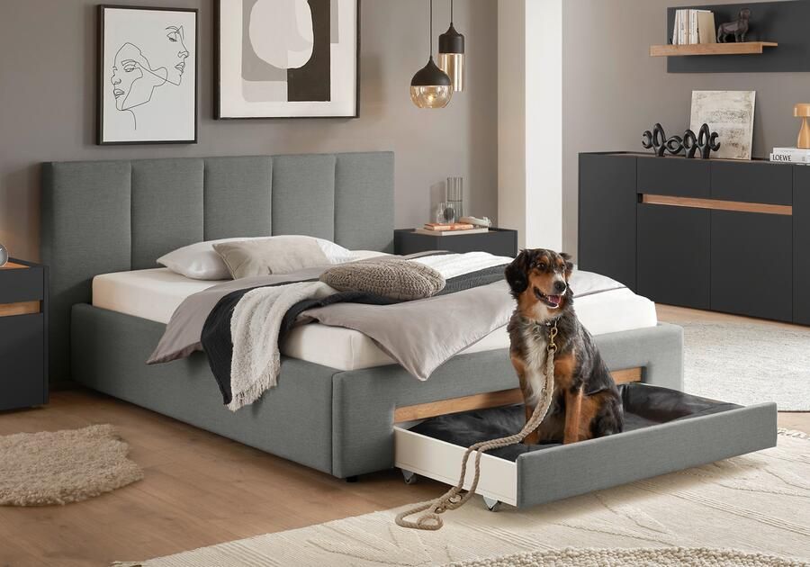 INOSIGN Gestoffeerd bed CiTY GiRON bedframe met bedlade gestoffeerd opbergbed met hondenbed of opberglade bekleding van corduroy of linnenlook - Foto 12