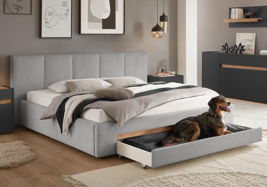 INOSIGN Gestoffeerd bed CiTY GiRON bedframe met bedlade gestoffeerd opbergbed met hondenbed of opberglade bekleding van corduroy of linnenlook - Foto 12