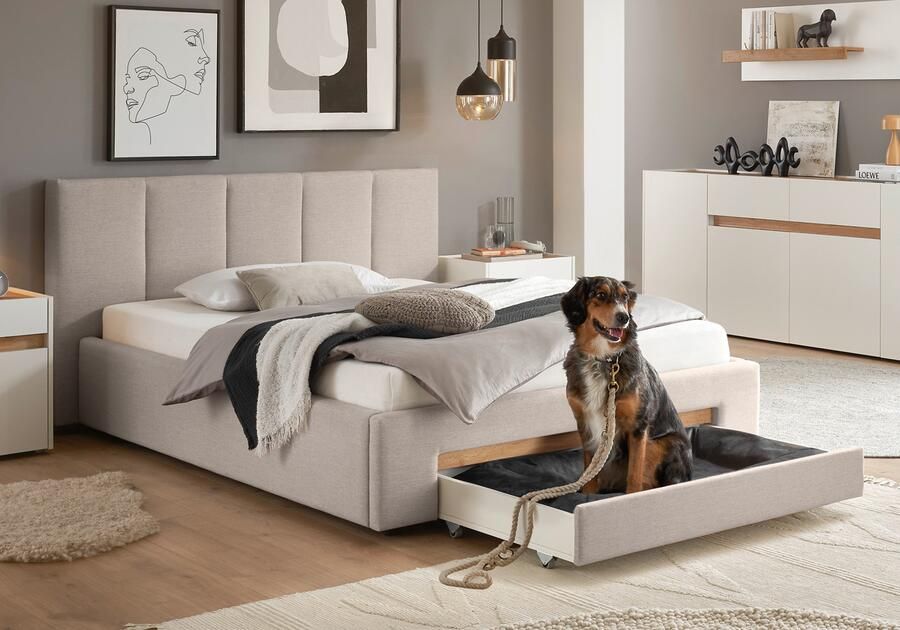 INOSIGN Gestoffeerd bed CiTY GiRON bedframe met bedlade gestoffeerd opbergbed met hondenbed of opberglade bekleding van corduroy of linnenlook - Foto 10